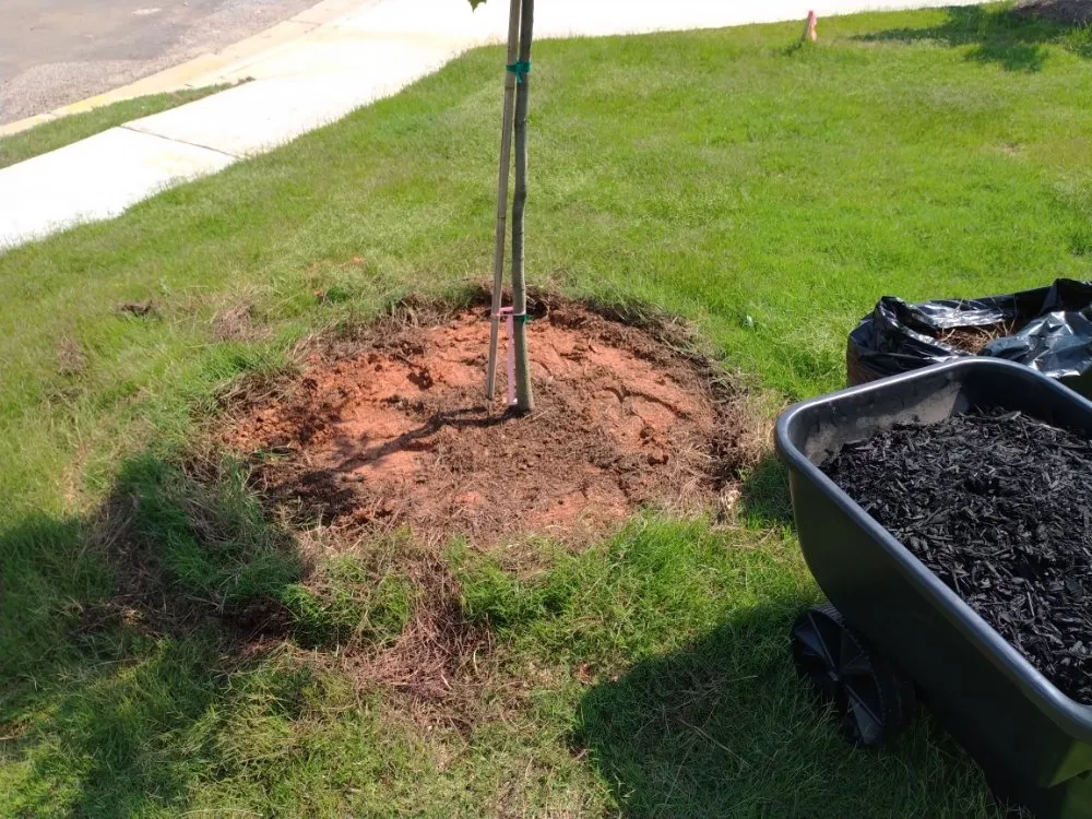 Trusted yard cleanup service for year-round maintenance across Carrollton, GA - Drew's Lawn Care