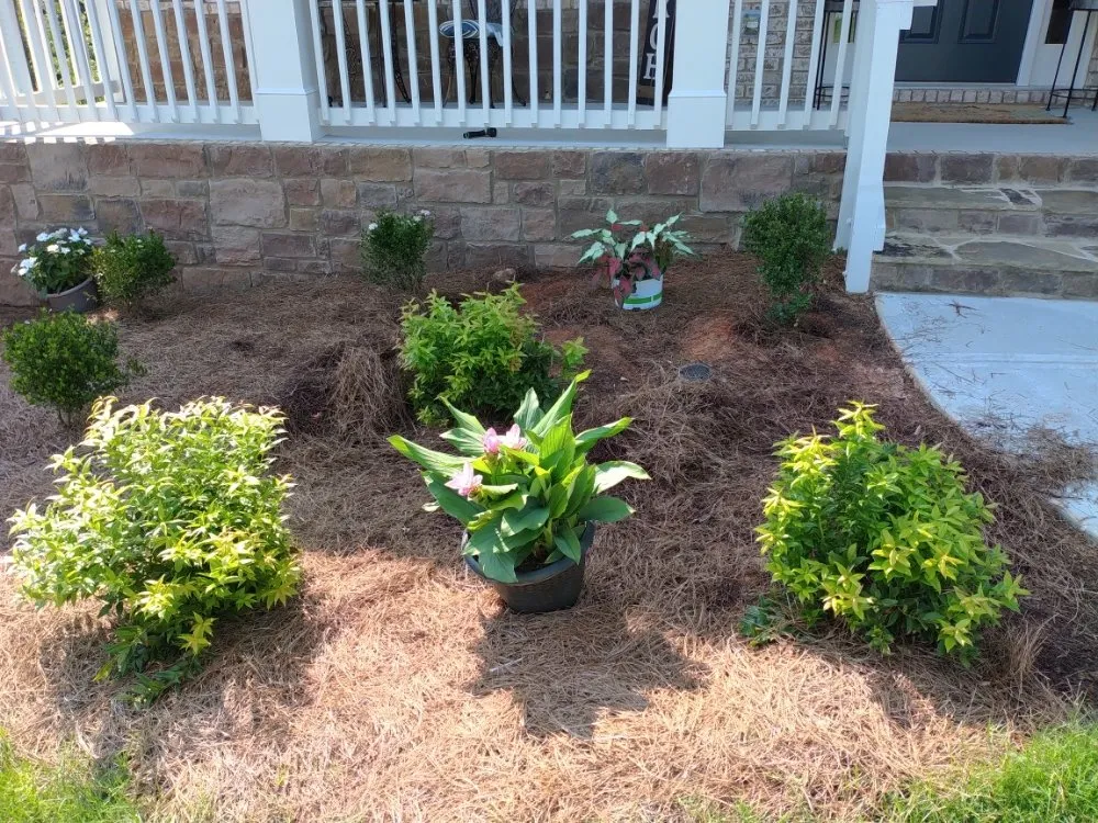 Reliable landscaping services in Carrollton, GA by Drew's Lawn Care