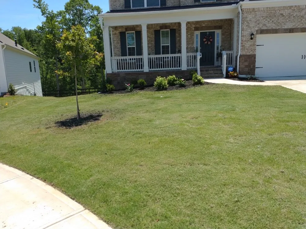 Top-rated outdoor landscaping in Carrollton, GA by Drew's Lawn Care