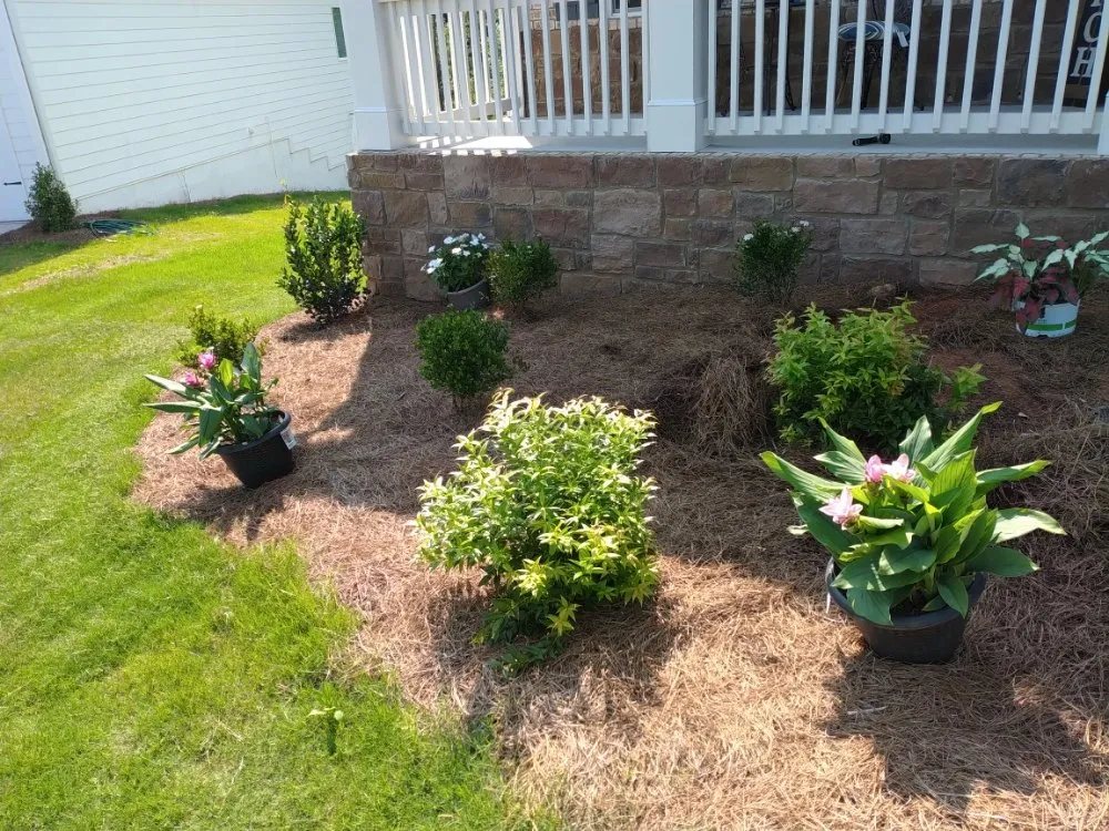 Affordable landscape design in Carrollton, GA by Drew's Lawn Care