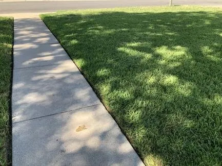 Local landscaping services for beautiful yards across Temple, TX - Drews Lawn Care