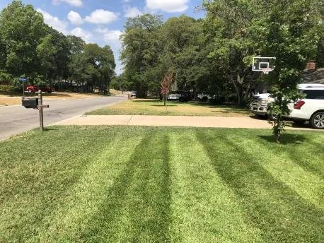 Affordable yard maintenance in Temple, TX - Drews Lawn Care