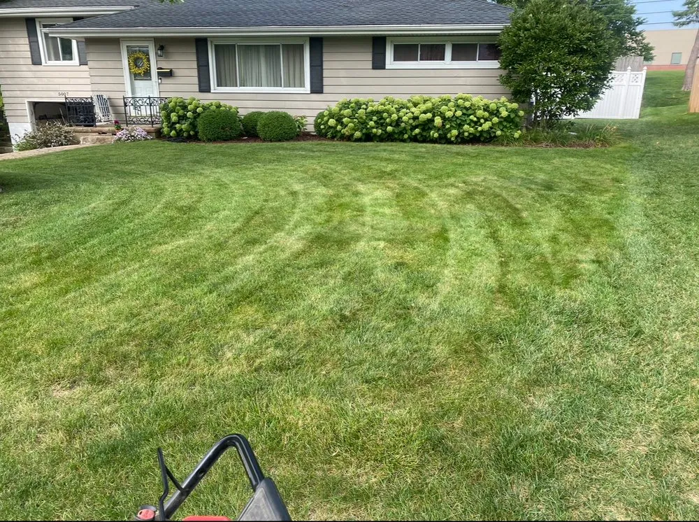 Expert yard cleanup service in West Peoria, IL - Drew’s Lawn Care