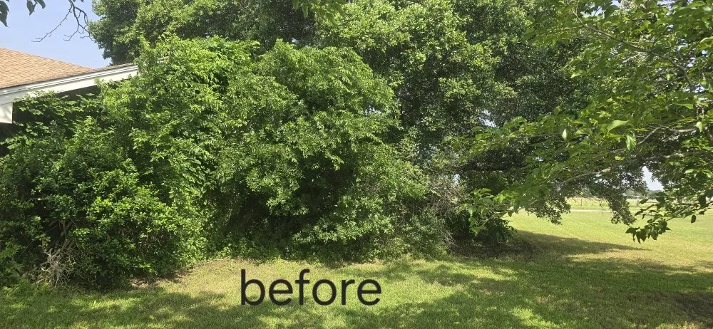 Reliable lawn mowing service in Bokchito, OK by Drew's Lawn Crew