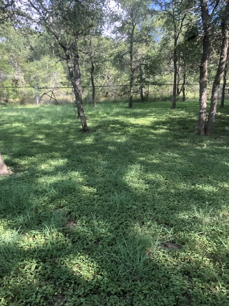 Reliable residential landscaping for residential properties in Bastrop, TX by Drew’s Lawn Works