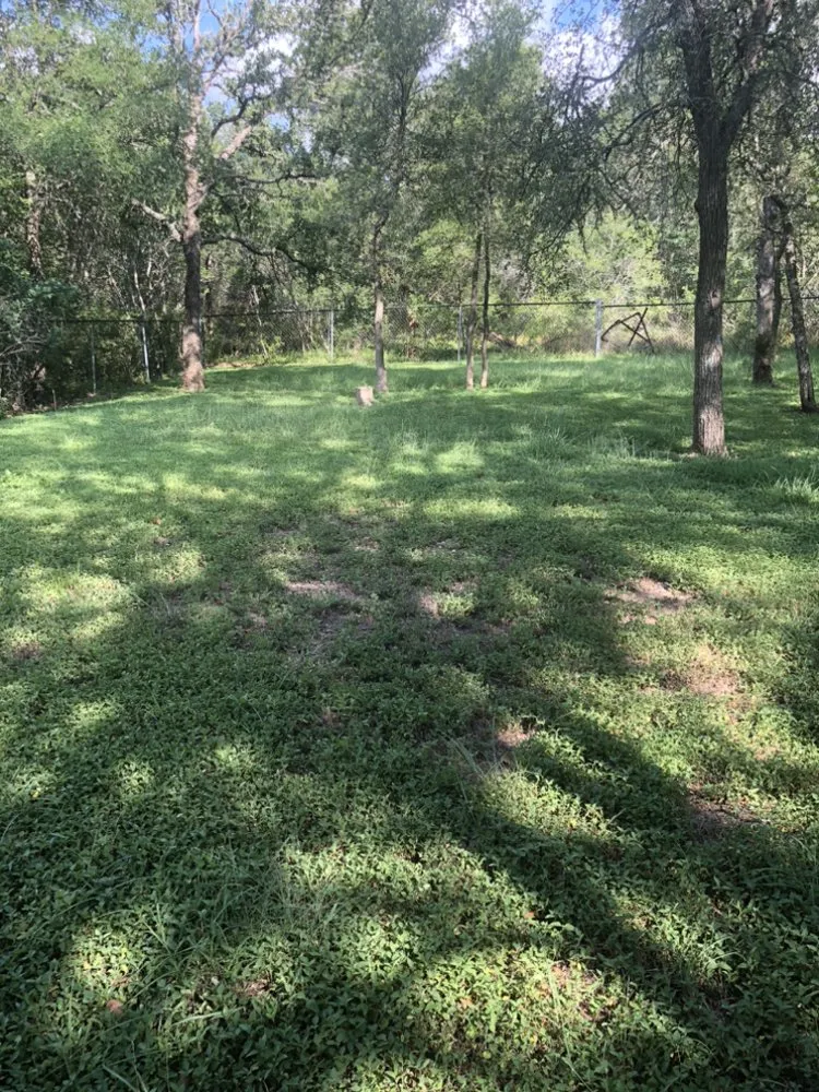 Affordable lawn care service in Bastrop, TX by Drew’s Lawn Works