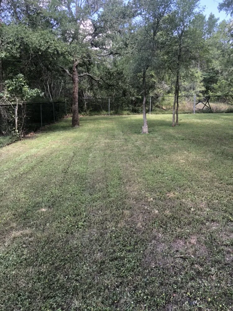 Custom lawn care service in Bastrop, TX - Drew’s Lawn Works