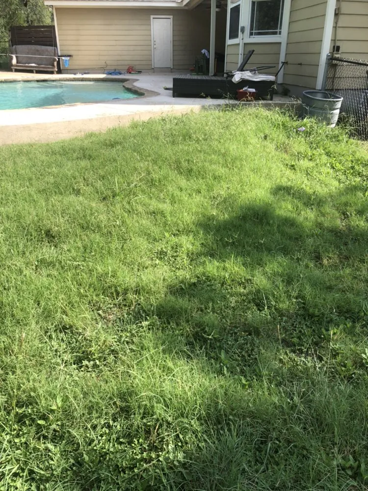 Reliable yard maintenance in Bastrop, TX - Drew’s Lawn Works