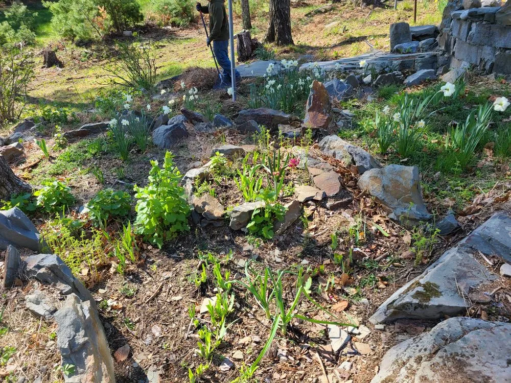 Reliable lawn care service experts serving Honesdale, PA - Drew's Multi Service