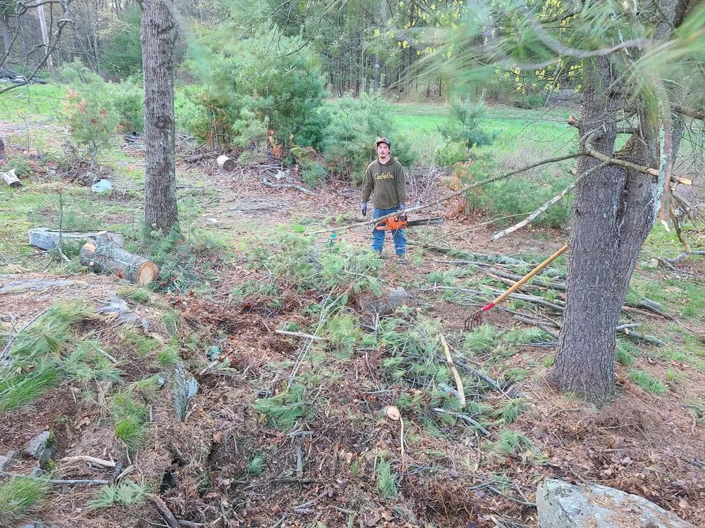 Professional yard cleanup service in Honesdale, PA by Drew's Multi Service