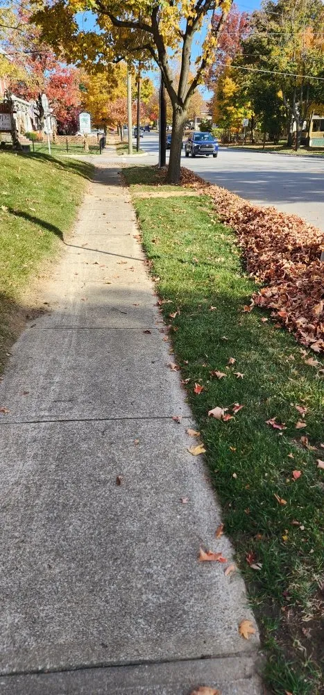 Affordable lawn mowing service in Medina, OH - Drews property management