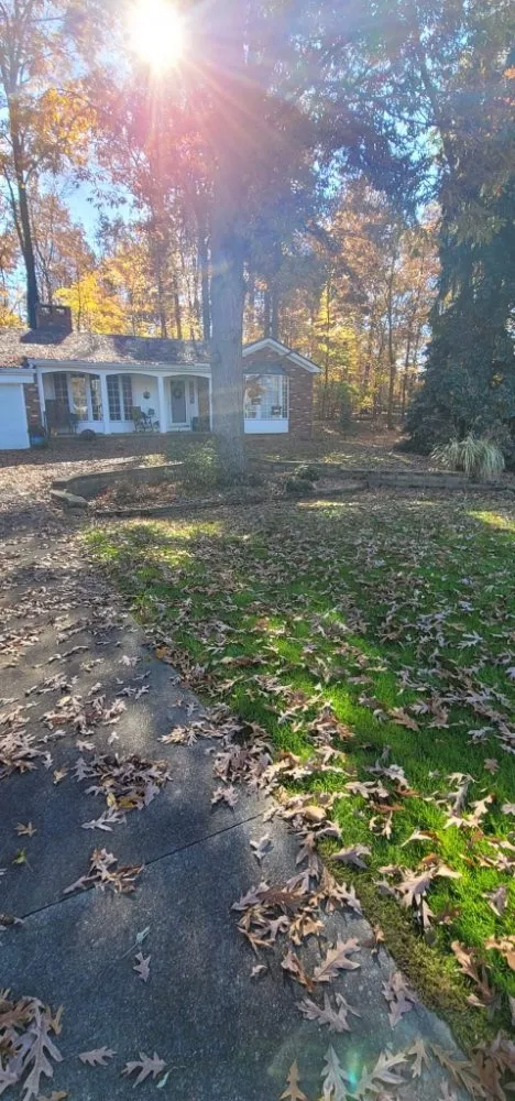 Reliable lawn care service in Medina, OH by Drews property management