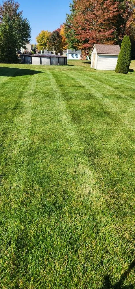 Local landscaping services near you across Medina, OH - Drews property management