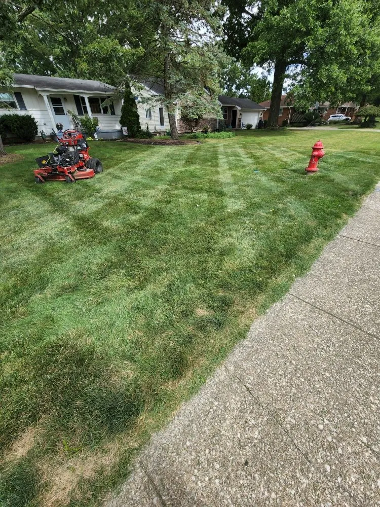 Custom yard cleanup service near you in Medina, OH by Drews property management