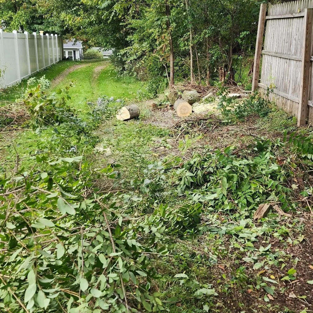 Top-rated lawn care service experts serving Medina, OH - Drews property management