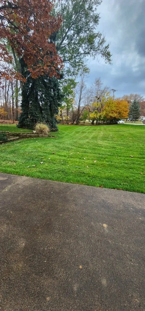 Local landscaping services experts serving Medina, OH - Drews property management