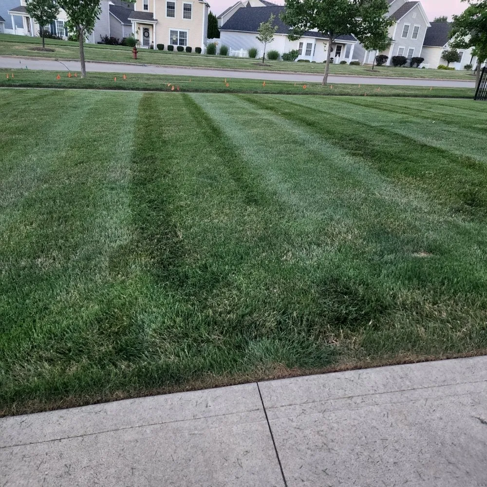 Top-rated landscaping services in Medina, OH - Drews property management