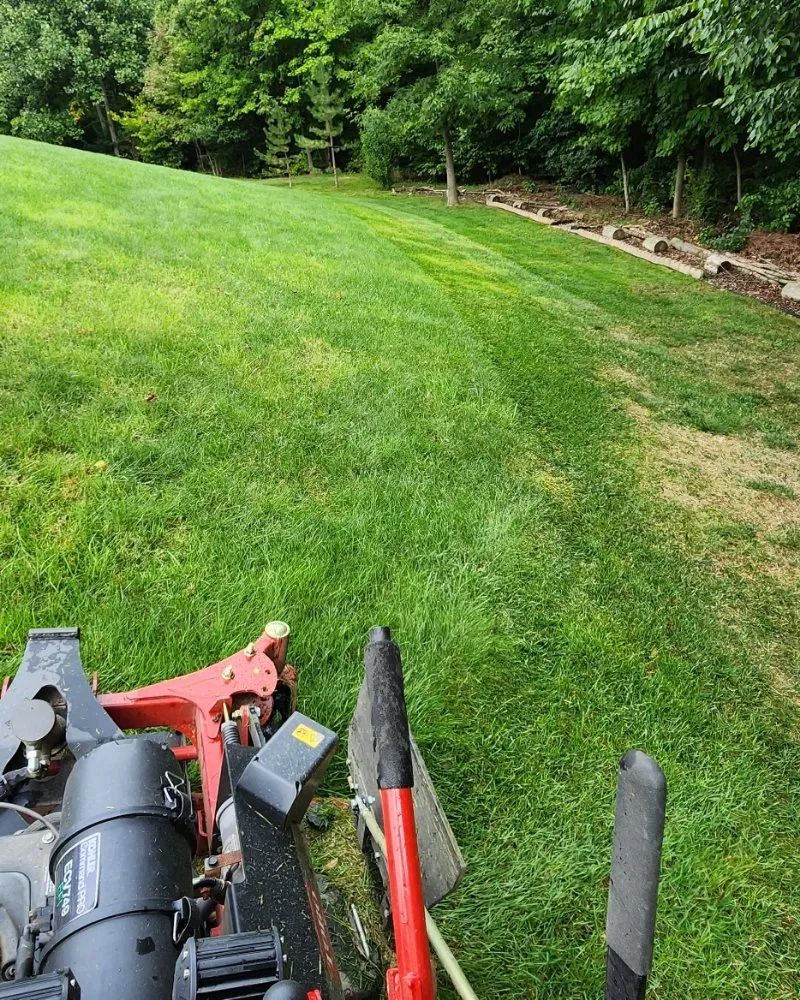 Professional lawn care service experts serving Medina, OH - Drews property management