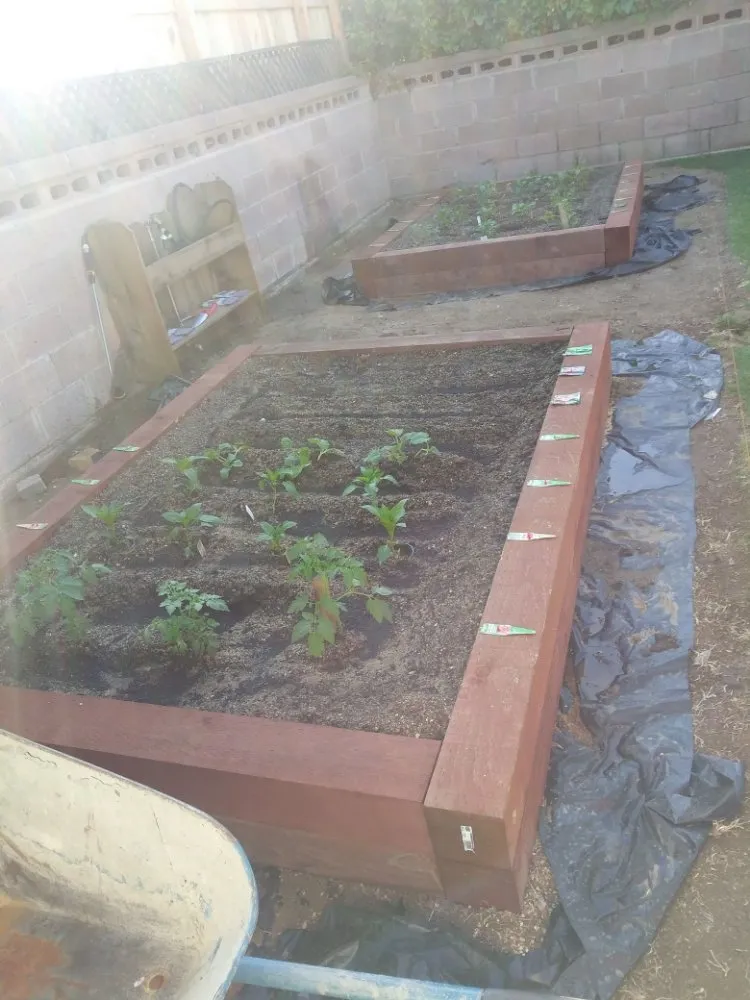 Reliable yard cleanup service for outdoor upgrades in San Fernando Valley, CA by Drew's Residential Labor