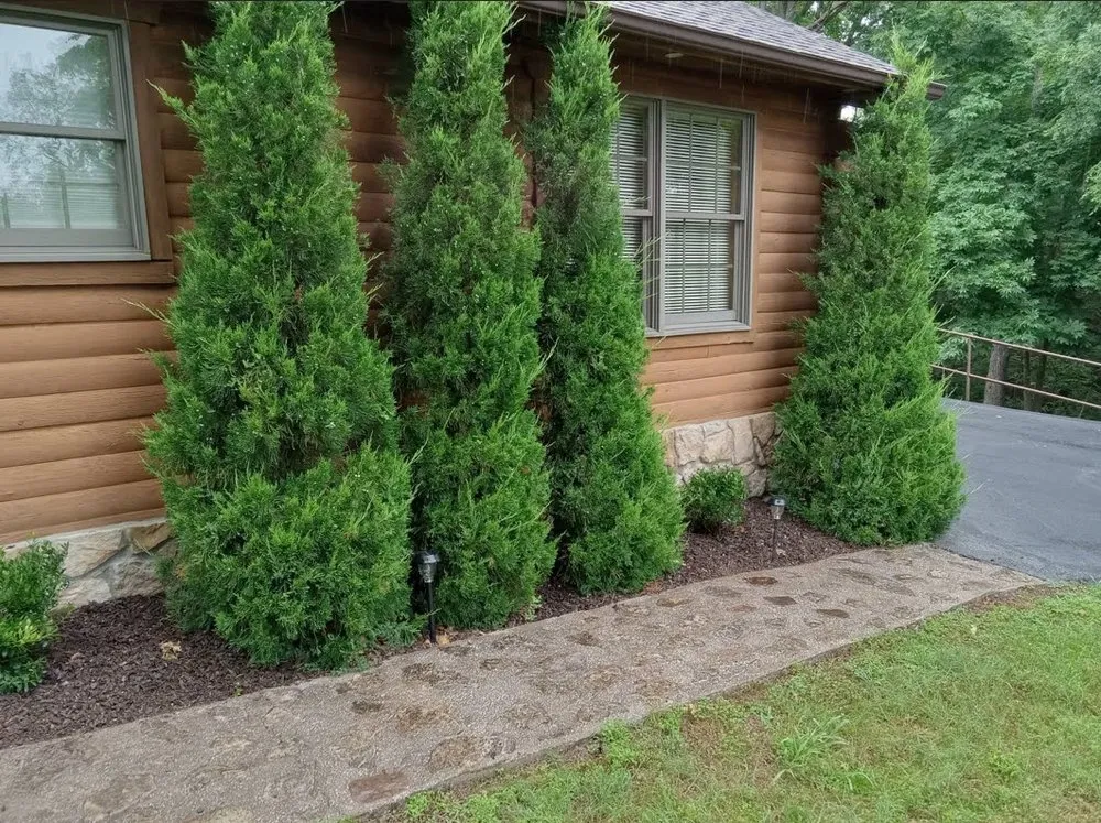 Professional landscaping services in Galena, MO by DREYCARE Landscaping, Excavating and Tree Services