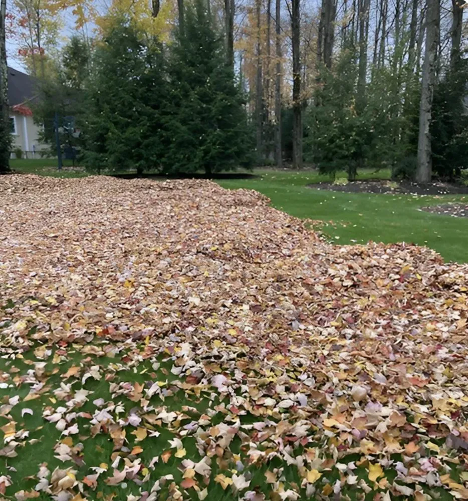 Trusted landscaping services experts serving Holland Patent, NY - Dreyer's Landscaping & Snowplowing