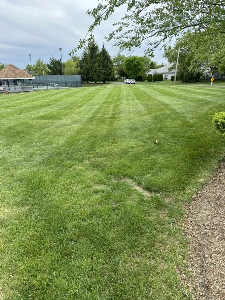 Local lawn mowing service in Perth Amboy, NJ by Drf Landscaping