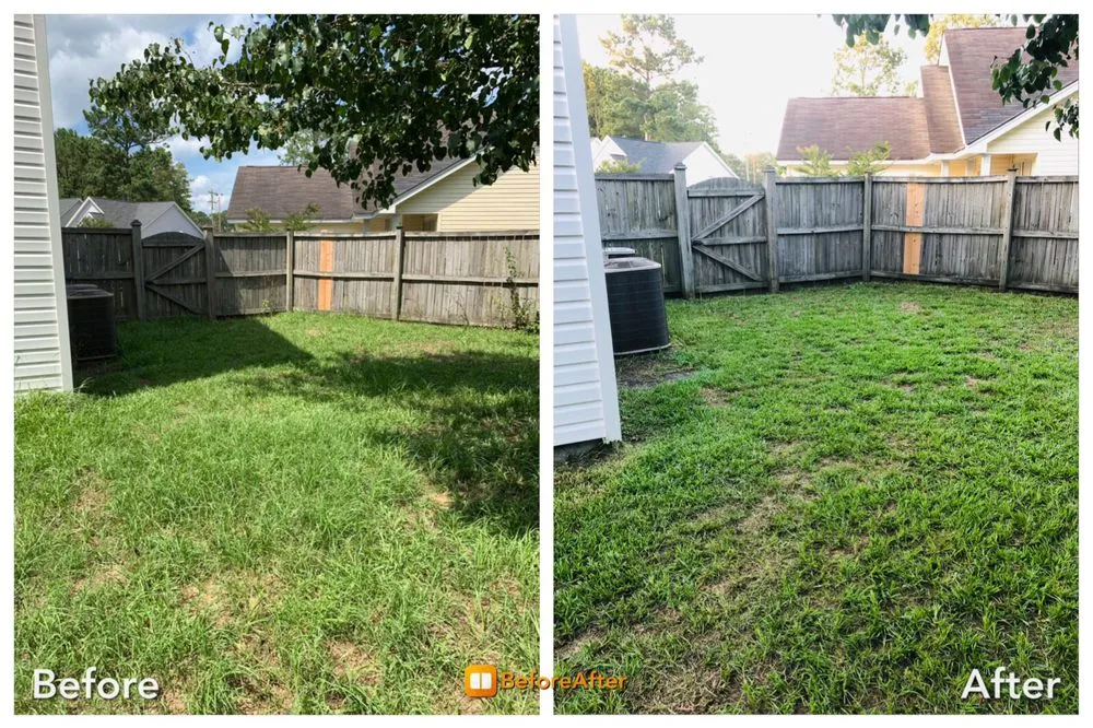 Local yard maintenance for homes in Goose Creek, SC by Dr.Grass