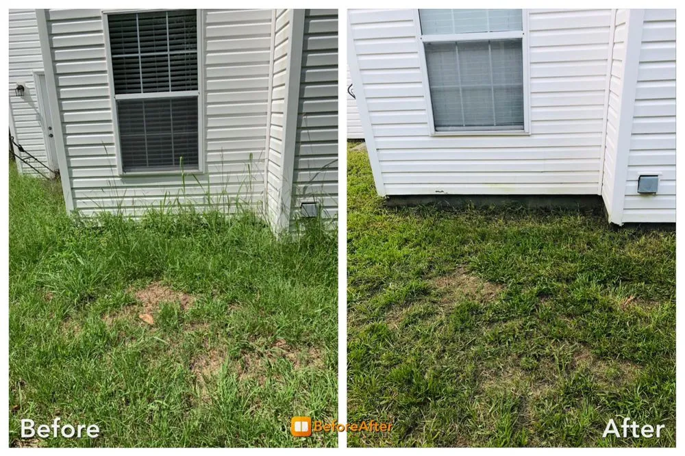 Custom yard maintenance near you across Goose Creek, SC - Dr.Grass