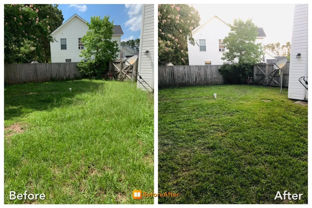 Reliable landscape installation experts serving Goose Creek, SC - Dr.Grass