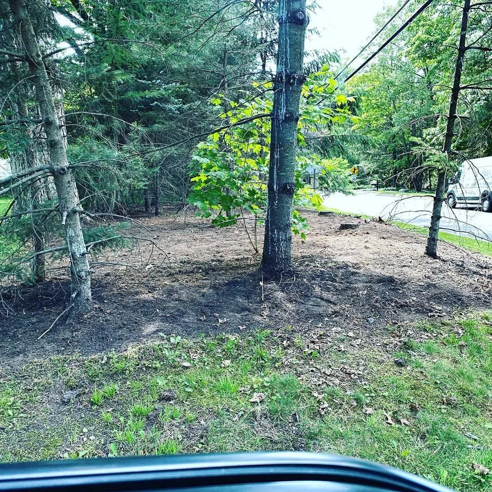 Reliable lawn care service with custom design across West Hartford, CT - Dridi Landscaping