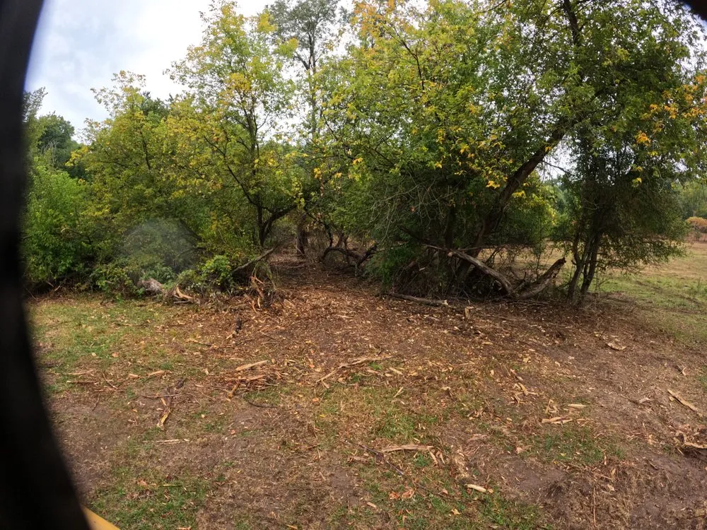 Reliable yard cleanup service in Viroqua, WI by Driftless Grubbing