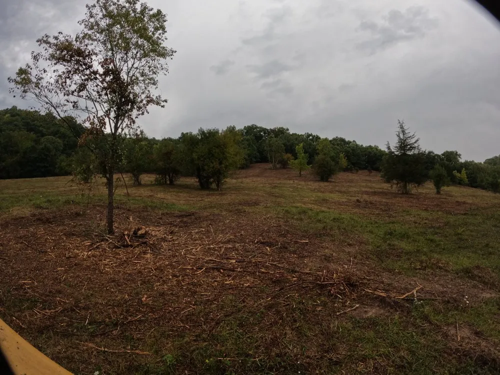 Reliable landscape installation experts serving Viroqua, WI - Driftless Grubbing