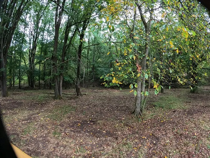 Local lawn mowing service for year-round maintenance across Viroqua, WI - Driftless Grubbing