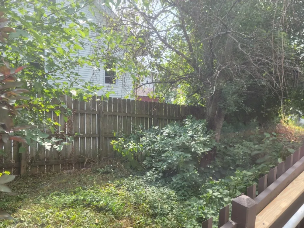 Trusted lawn care service for homes in Dubuque, IA by Driftless Property Maintenance