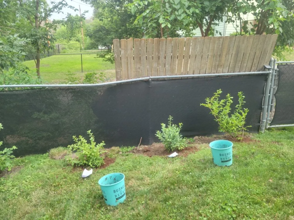 Top-rated yard cleanup service with custom design in Dubuque, IA by Driftless Property Maintenance