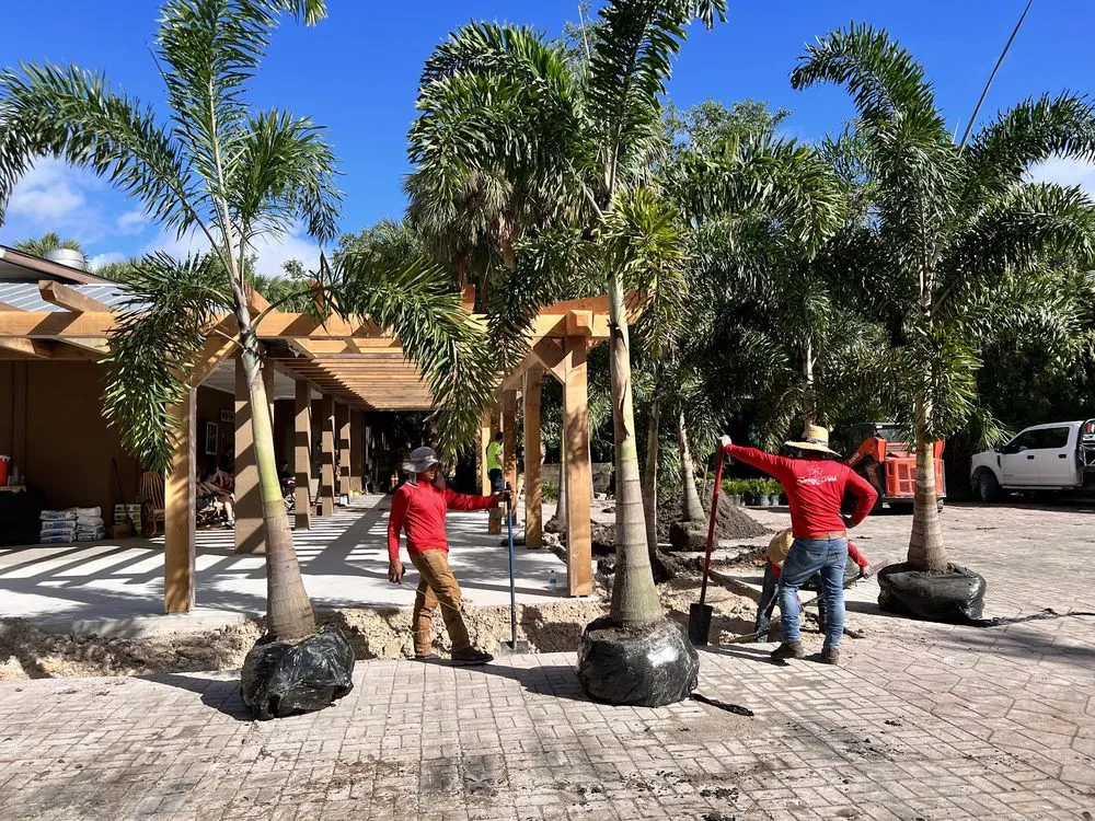 Custom landscape design with custom design in Siesta Key, FL by Driftwood DBL