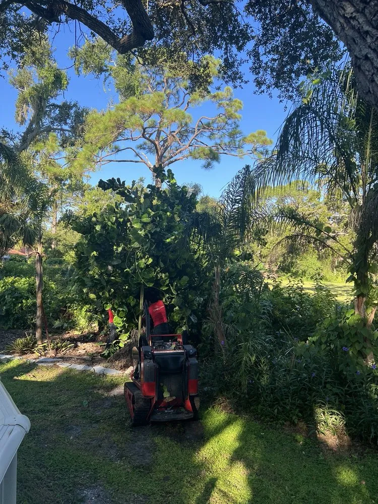 Top-rated lawn mowing service for beautiful yards in Siesta Key, FL by Driftwood DBL