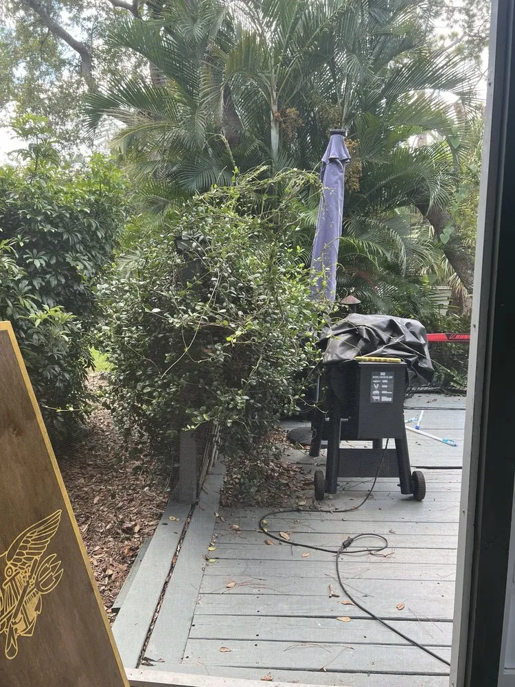 Local residential landscaping in Siesta Key, FL - Driftwood DBL