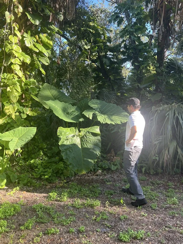 Custom landscaping services in Siesta Key, FL - Driftwood DBL