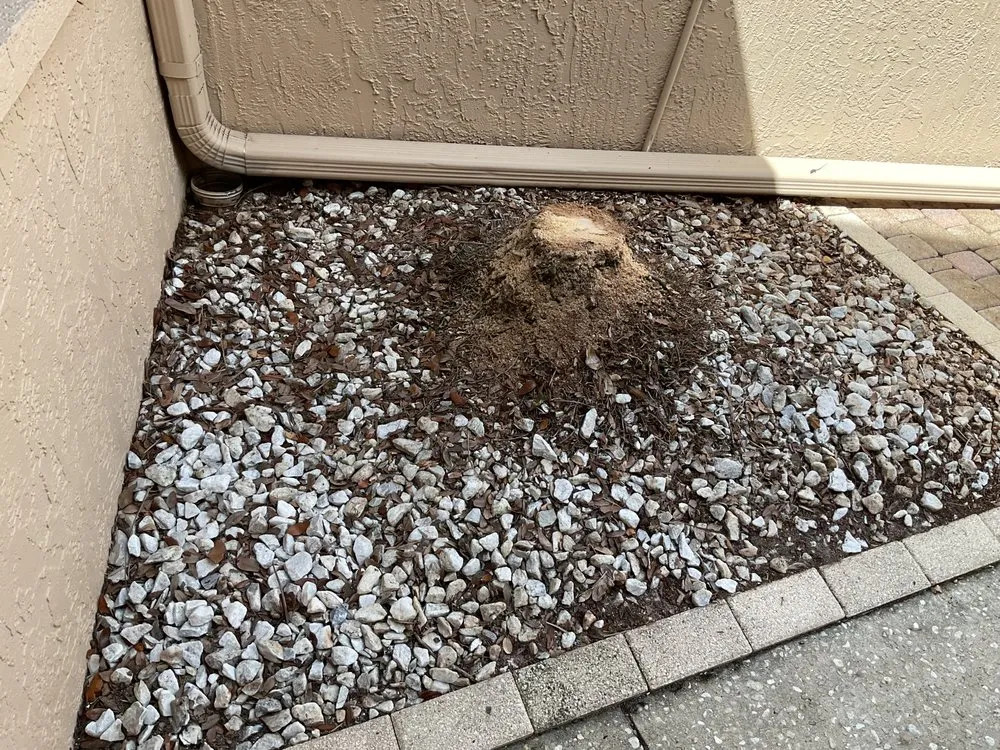 Expert outdoor landscaping in Siesta Key, FL by Driftwood DBL