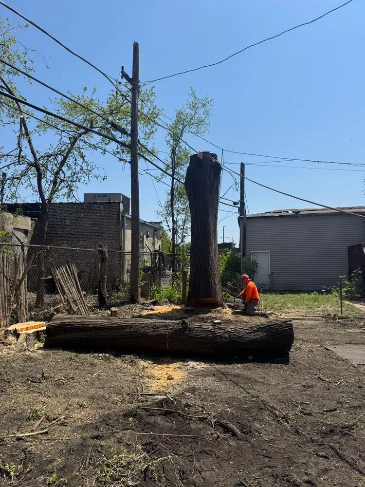 Trusted landscape installation experts serving Las Vegas, NV - Driftwood Landscape and Tree service