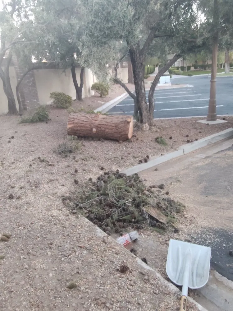 Top-rated garden landscaping in Las Vegas, NV - Driftwood Landscape and Tree service