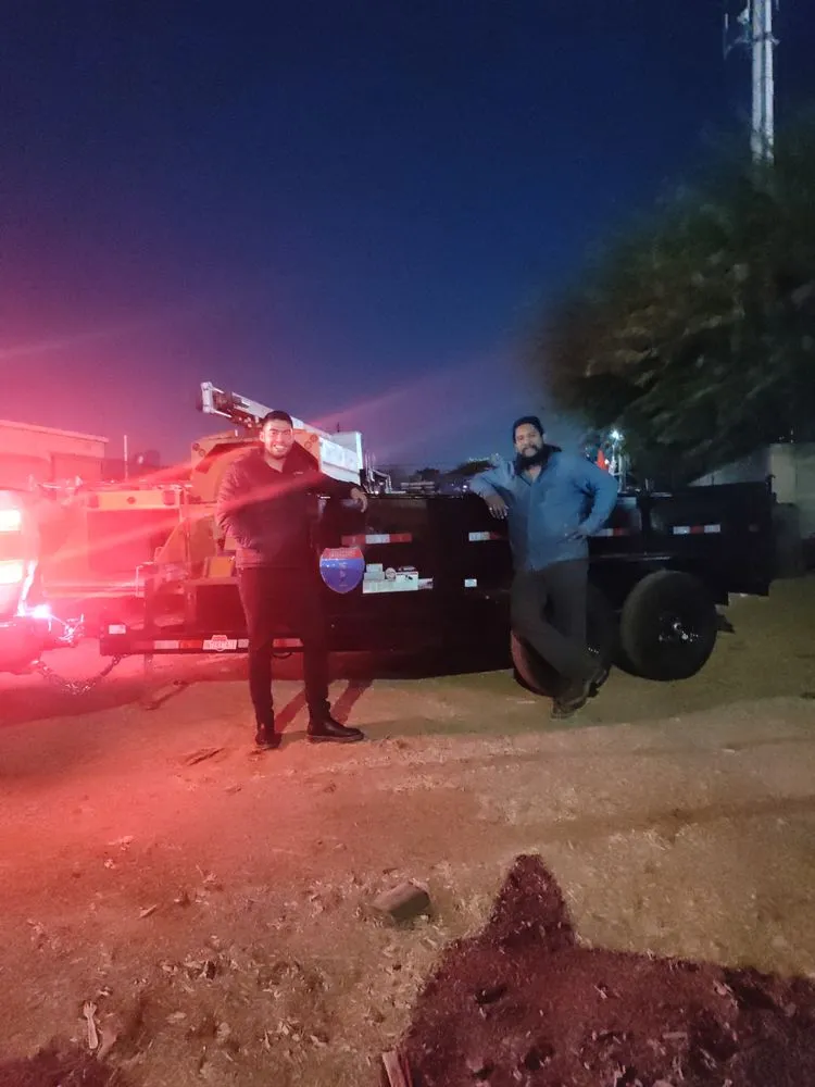 Affordable garden landscaping in Las Vegas, NV by Driftwood Landscape and Tree service