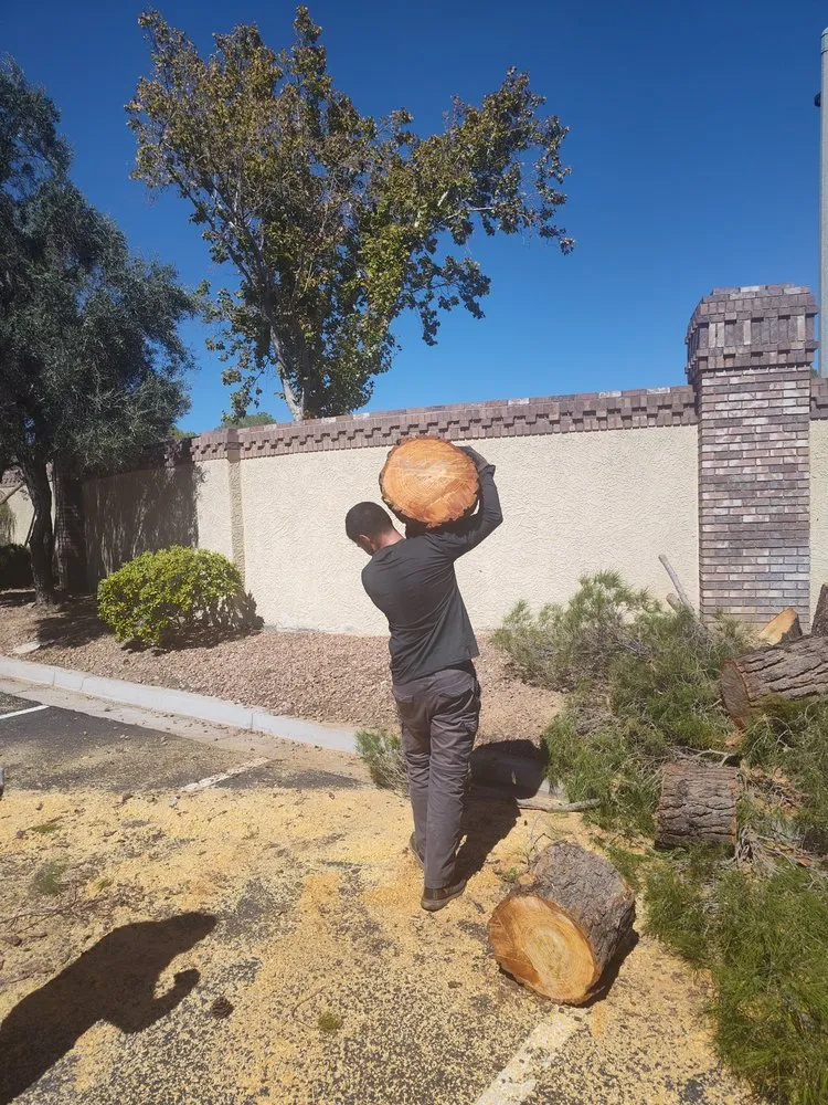 Trusted garden landscaping near you across Las Vegas, NV - Driftwood Landscape and Tree service