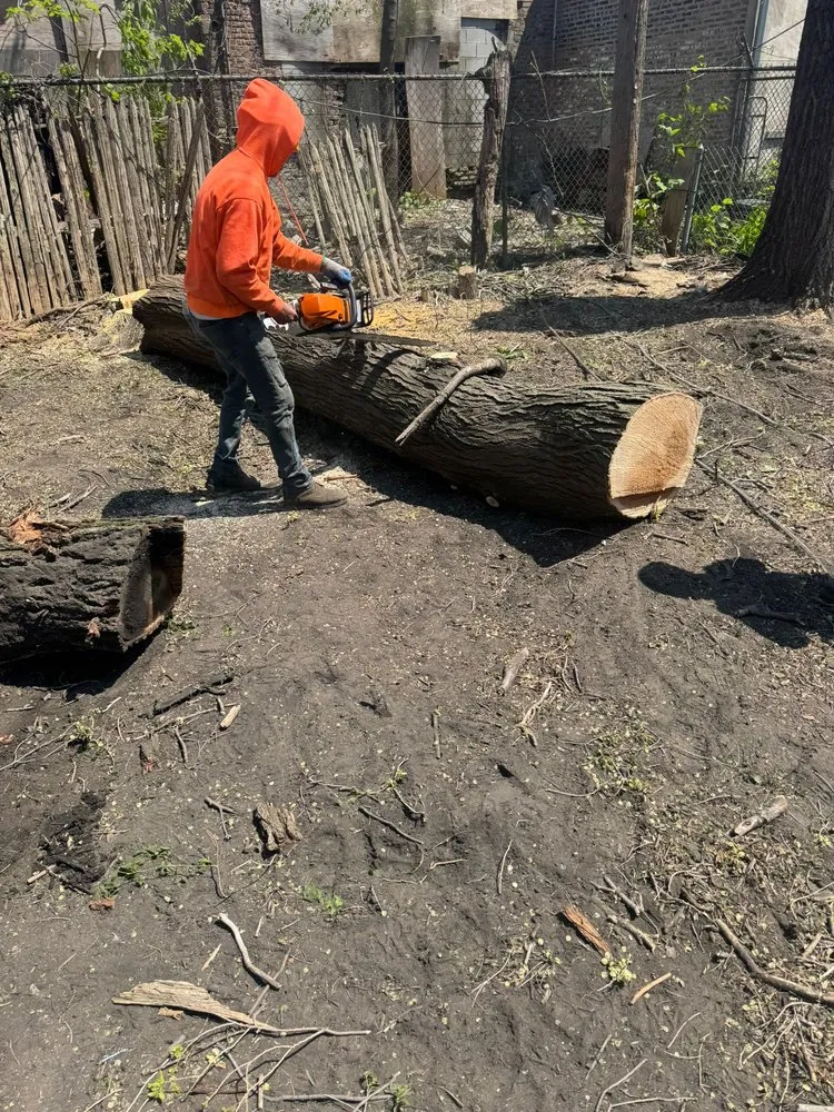 Local residential landscaping for year-round maintenance across Las Vegas, NV - Driftwood Landscape and Tree service