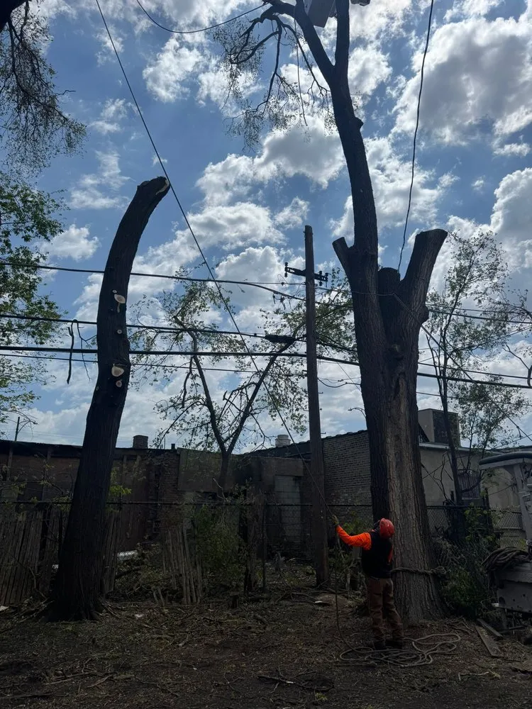 Reliable outdoor landscaping for beautiful yards across Las Vegas, NV - Driftwood Landscape and Tree service