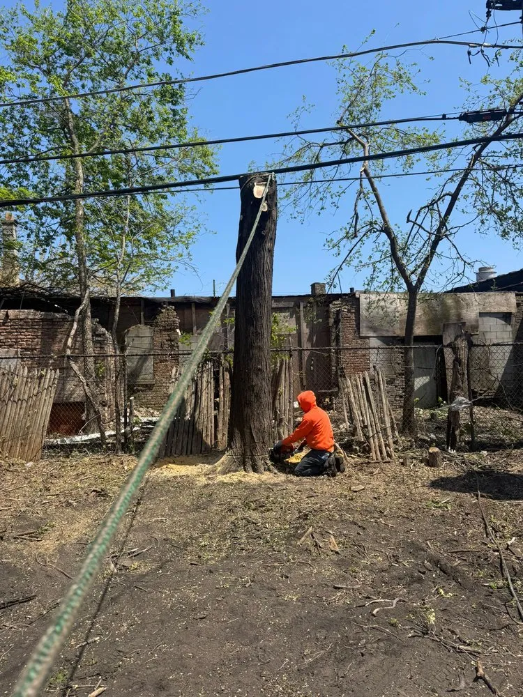 Reliable residential landscaping for outdoor upgrades across Las Vegas, NV - Driftwood Landscape and Tree service