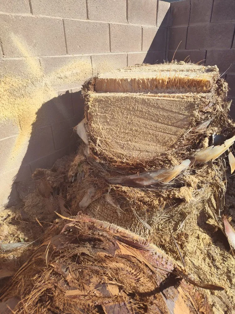 Custom garden landscaping in Las Vegas, NV by Driftwood Landscape and Tree service