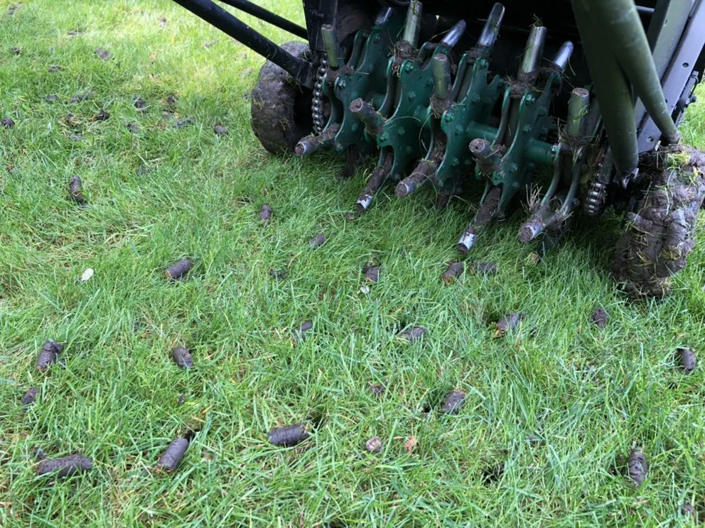 Professional yard cleanup service in Minneapolis, MN - Driftwood Property Services