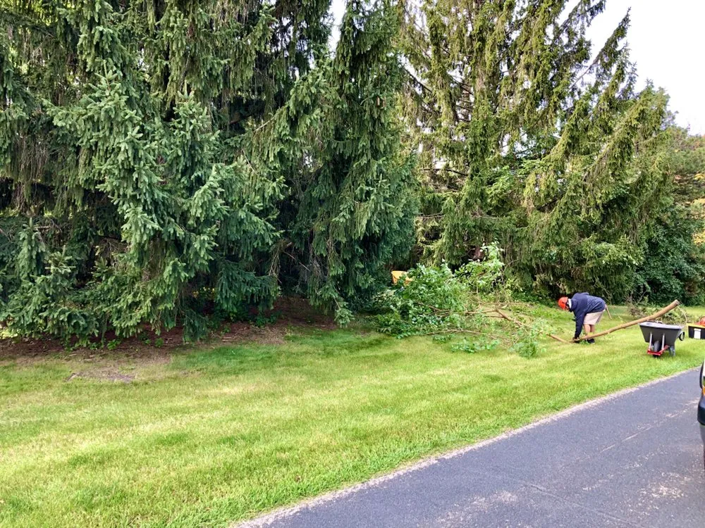 Top-rated outdoor landscaping in Minneapolis, MN - Driftwood Property Services